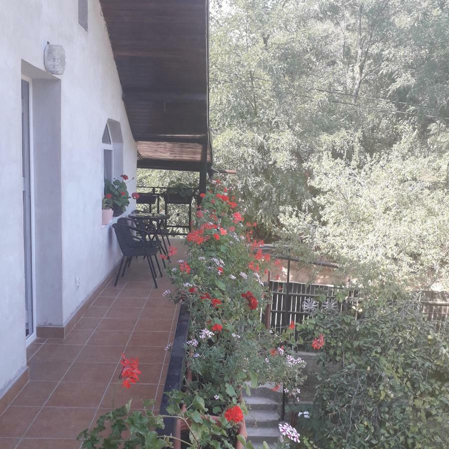 Casamarinela Hotel Orsova Kültér fotó